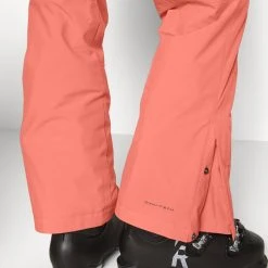 Columbia Shafer Canyon Insulated Pant - Pantalons De Ski - Dark Coral -Columbia shop a9de55d869864c86973eafbffbf61418 scaled